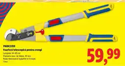 Lidl PARKSIDE Foarfecă telescopică pentru crengi Ofertă
