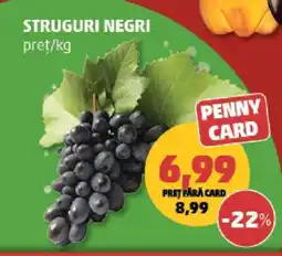 Penny Struguri negri Ofertă