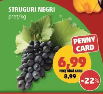 Penny Struguri negri Ofertă