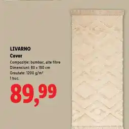 Lidl Livarno Covor Ofertă