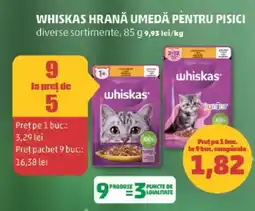Penny WHISKAS HRANĂ UMEDĂ PENTRU PISICI Ofertă