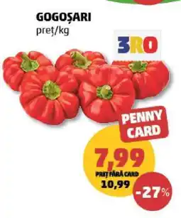 Penny Gogoșari Ofertă