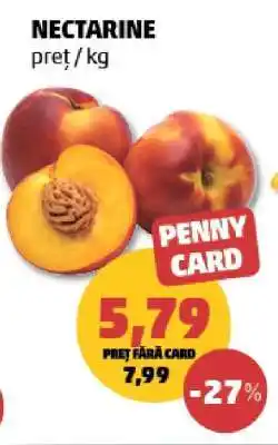 Penny Nectarine Ofertă