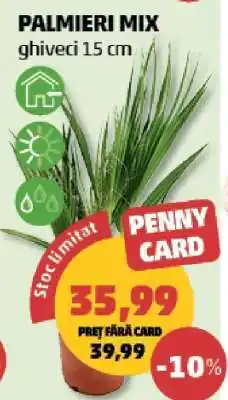 Penny PALMIERI MIX Ofertă