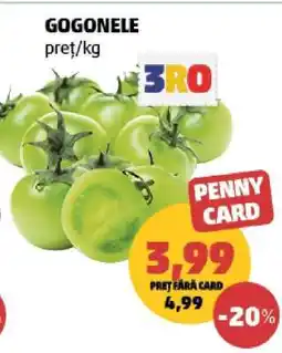 Penny Gogonele Ofertă