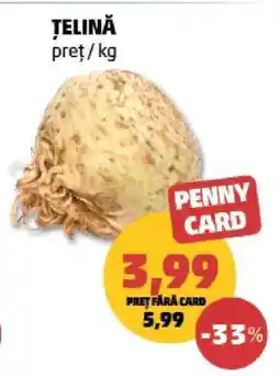 Penny Țelină Ofertă