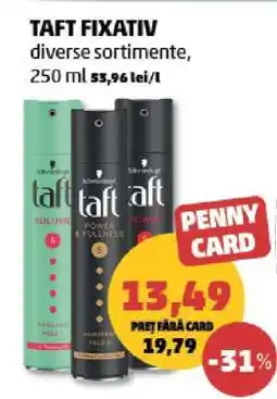 Penny TAFT FIXATIV Ofertă