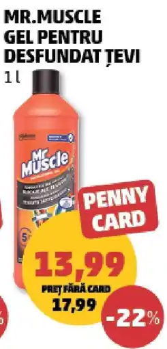 Penny Mr.MUSCLE Gel pentru desfundat țevi Ofertă