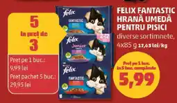 Penny FELIX FANTASTIC HRANĂ UMEDĂ PENTRU PISICI Ofertă