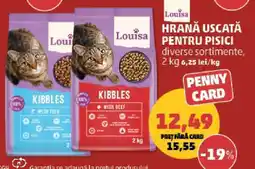 Penny Louisa Hrană Uscată pentru Pisici Ofertă