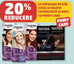 Penny syoss palette Ofertă