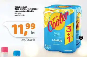Ursus cooler