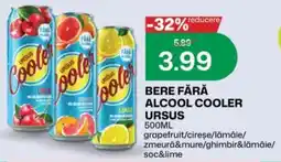 Diana Supermarket Ursus Cooler Ofertă