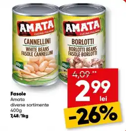 PROFI Amata fasole diverse sortimente Ofertă