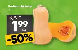 PROFI Dovleac plăcintar Ofertă