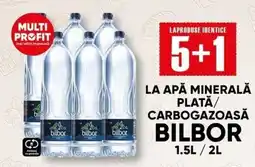 PROFI Bilbor apă minerală plată/carbogazoasă Ofertă