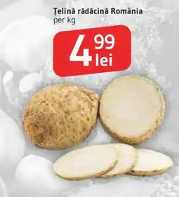 Supeco Țelină rădăcină România Ofertă