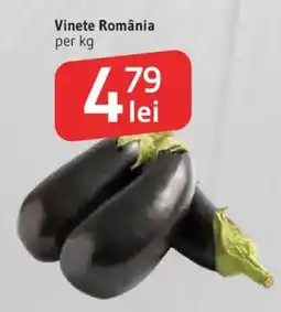 Supeco Vinete România Ofertă