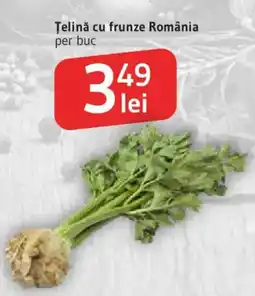 Supeco Țelină cu frunze România Ofertă