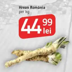 Supeco Hrean România Ofertă
