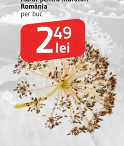 Supeco Mărar pentru măruturi România Ofertă