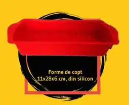 Supeco Forme de copt Ofertă