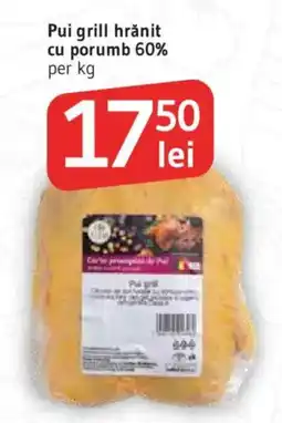 Supeco Pui grill Ofertă
