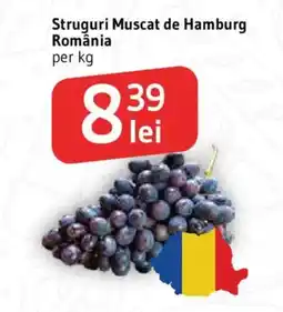 Supeco Struguri Muscat de Hamburg Ofertă