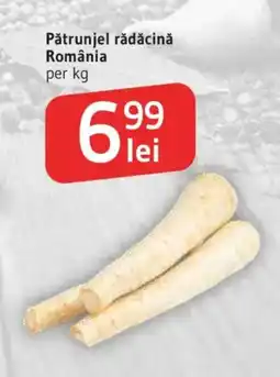 Supeco Pătrunjele rădăcină Ofertă