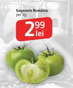Supeco Gogonele România Ofertă