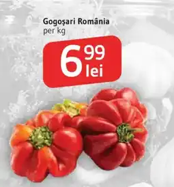 Supeco Gogoșari România Ofertă