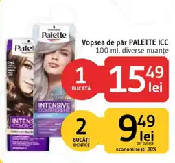 Supeco Palette vopsea de păr Ofertă