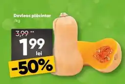 PROFI Dovleac plăcintar Ofertă