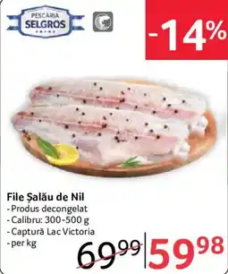 Selgros Pescaria Selgros File Șalău de Nil Ofertă
