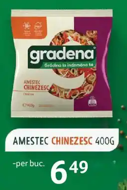 Selgros gradena amestec chinezesc Ofertă
