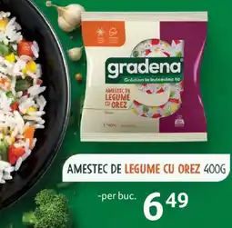 Selgros gradena amestec de legume cu orez Ofertă