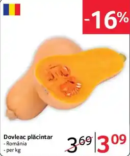 Selgros Dovleac plăcintar Ofertă