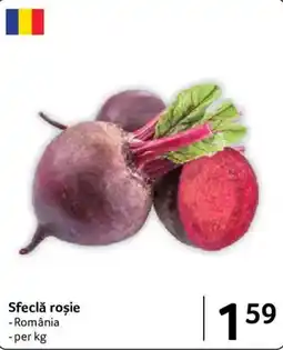 Selgros Sfeclă roșie Ofertă
