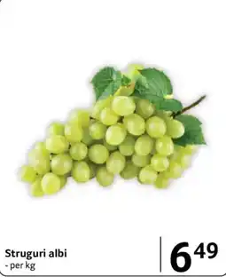 Selgros Struguri albi Ofertă