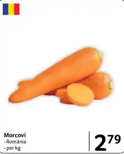 Selgros Morcovi Ofertă