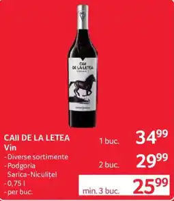 Selgros Cai de la Letea Vin Ofertă