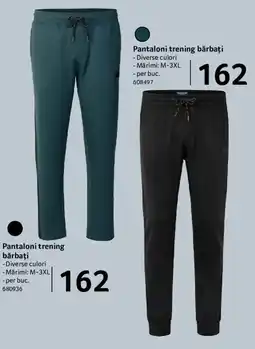 Selgros Pantaloni trening bărbați Ofertă