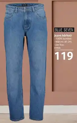 Selgros Blue Seven jeans bărbați Ofertă