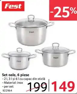 Selgros Fest set oale Ofertă