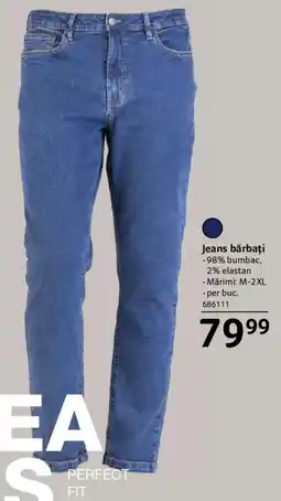 Selgros Jeans bărbați Ofertă