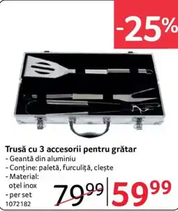 Selgros Trusă cu 3 accesorii pentru grătar Ofertă