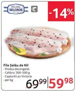Selgros File Șalău de Nil Ofertă