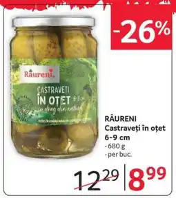 Selgros RÂURENI Castraveți în oțet 6-9 cm Ofertă