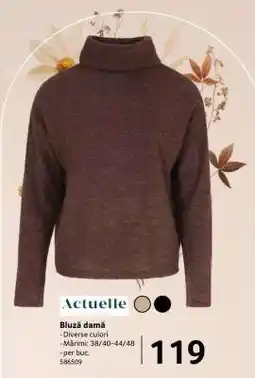 Selgros Bluză damă Ofertă