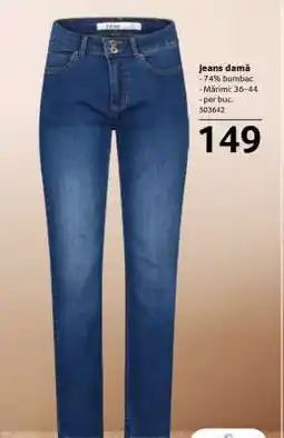 Selgros Jeans damă Ofertă